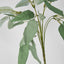 Eucalyptus Leaf Bush 40cm Green