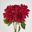 Dahlia Bush x 5 Red