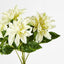 Dahlia Bush x 5 White
