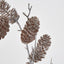 Pine Cone Branch