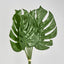 Monstera Leaf Bundle 2 Sizes Green