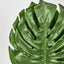 Monstera Leaf Bundle 2 Sizes Green