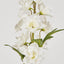 Delphinium Spray 91cm White - Pack of 12