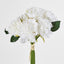 Frilly Peony Bouquet White - Pack of 12