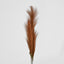 Pampas Grass Spray 3 Stems Brown