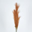 Pampas Grass Spray 3 Stems Brown