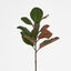 Southern Magnolia Branch - Pack of 12