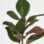 Southern Magnolia Branch - Pack of 12