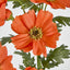 Cosmos Spray 85cm Orange - Pack of 36