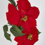 Poinsettia Garland 180cm