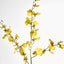 Lilly Dancing Orchid 98cm Yellow - Pack of 12