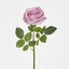 Walter Real Touch Rose Stem Lavender
61cm - Pack of 24