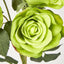 Rose Spray Green 