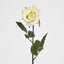 Long Stem Rose Pale Yellow - Pack of 24