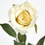 Long Stem Rose Pale Yellow - Pack of 24