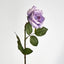 Long Stem Rose Purple - Pack of 24