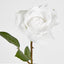 Long Stem Rose Pure White - Pack of 24