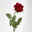 Long Stem Rose Red - Pack of 24