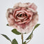 Rose Stem Dusty Pink