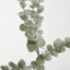 Eucalyptus Flocked Spray 74cm Grey - Pack of 24