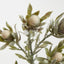 Protea Spray 77cm Cream - Pack of 24