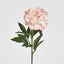 Peony Stem 66cm Pink - Pack of 12