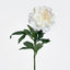 Peony Stem 66cm White - Pack of 12