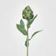 Artichoke Stem 58cm Green - Pack of 24