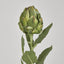 Artichoke Stem 58cm Green - Pack of 24