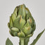 Artichoke Stem 58cm Green - Pack of 24