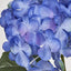 Hydrangea 62cm Blue - Pack of 12