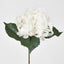 Hydrangea 62cm White - Pack of 12