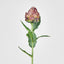 Artichoke Stem 58cm Burgundy - Pack of 24