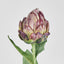Artichoke Stem 58cm Burgundy - Pack of 24