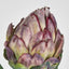 Artichoke Stem 58cm Burgundy - Pack of 24