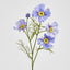Cosmos Spray 64cm Lavender - Pack of 24