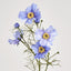 Cosmos Spray 64cm Lavender - Pack of 24