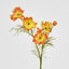 Cosmos Spray 64cm Orange - Pack of 24