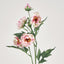 Peony Spray 64cm Pink - Pack of 24