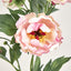 Peony Spray 64cm Pink - Pack of 24