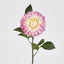 Single Ball Dahlia 74cm Yellow Pink
