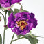 Peony Spray 64cm Purple - Pack of 24