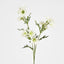 Daisy Spray 74cm White