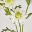 Daisy Spray 74cm White