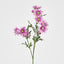 Daisy Spray 74cm Pink