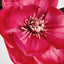 Magnolia Spray 84cm Pink (Set of 12)