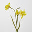 Daffodil Spray 50cm Yellow - Pack of 36