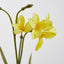 Daffodil Spray 50cm Yellow - Pack of 36