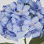 Domed Hydrangea 68cm Blue - Pack of 12