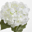 Domed Hydrangea 68cm White - Pack of 12